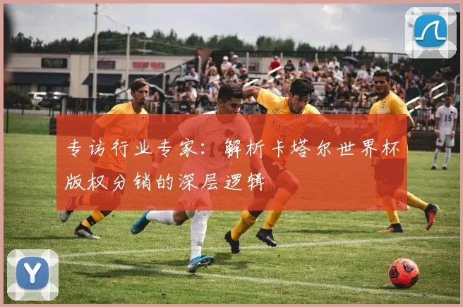 专访行业专家:解析卡塔尔世界杯版权分销的深层逻辑