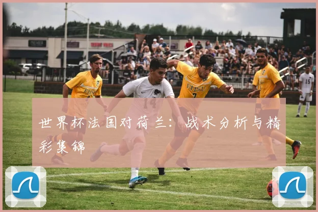 世界杯法国对荷兰:战术分析与精彩集锦