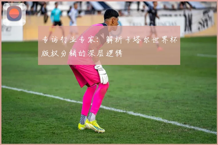 专访行业专家:解析卡塔尔世界杯版权分销的深层逻辑